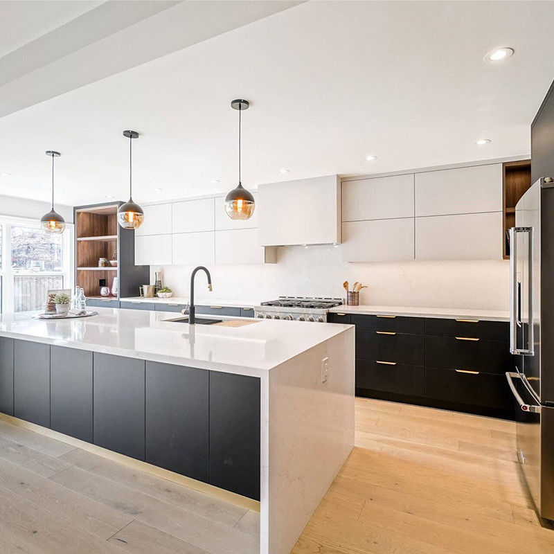 Blum Hardware Customized Size Matte Style Waterproof Kitchen Cabinet Set per la vostra casa