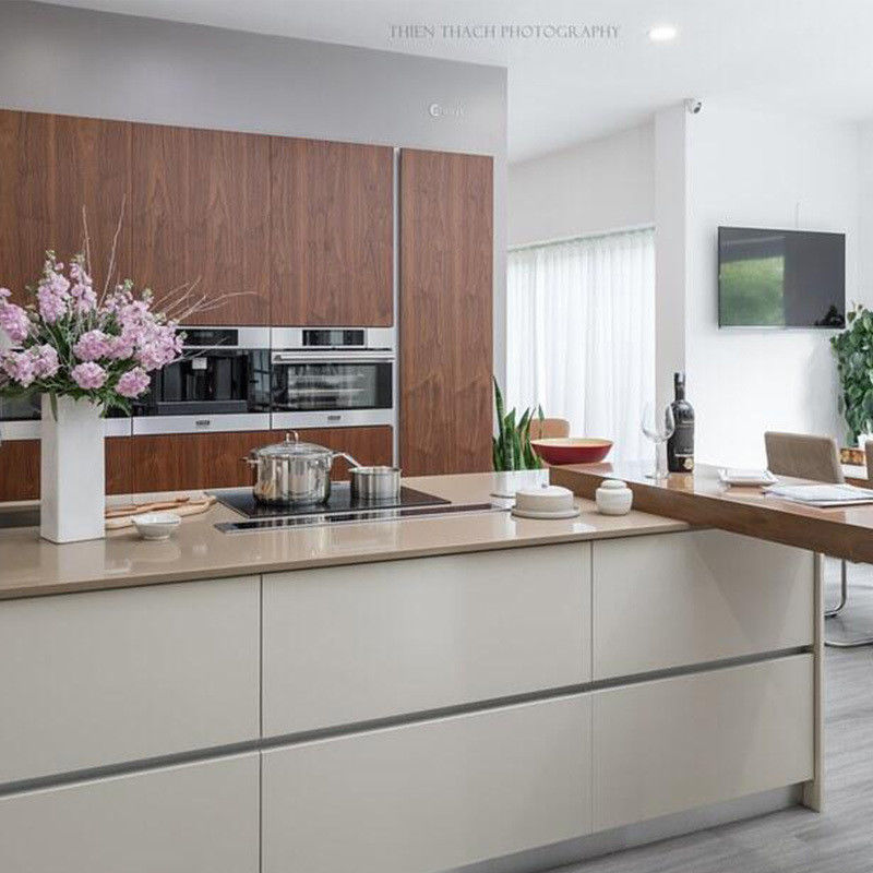 Blum Hardware Customized Size Matte Style Waterproof Kitchen Cabinet Set per la vostra casa