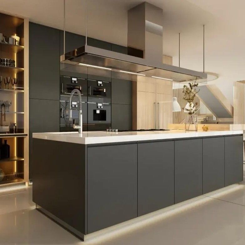 Blum Hardware Cucina Isola Armadio della dispensa con pannello di porta in legno massello in disegno nero